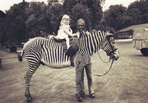 sally on a zebra