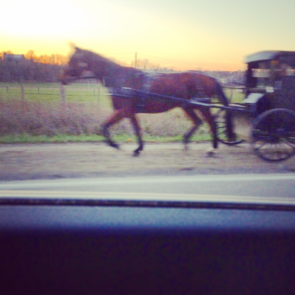 the view out of my car as I drove to Ann's farm