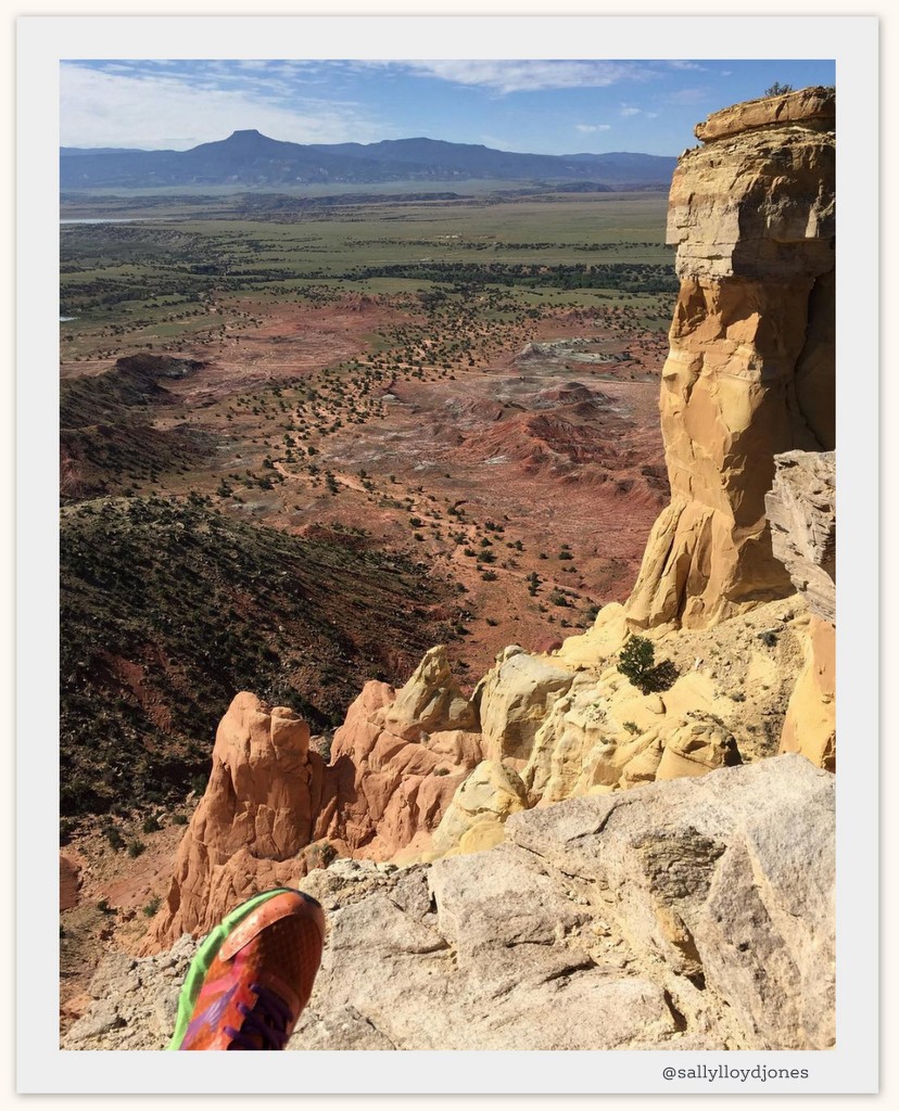 slj-journal-badlands-foot-selfie