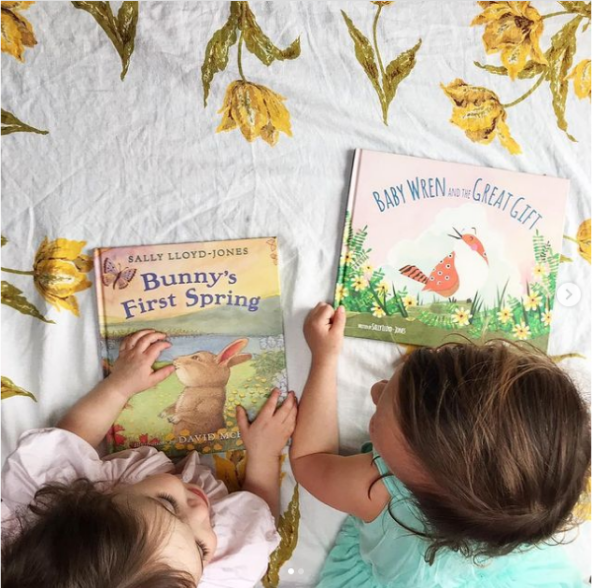 Baby Wren and The Great Gift and Bunny's First Spring by Sally Lloyd-Jones